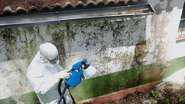 Trusted Mold Inspection service in Hume, VA - Cheap Mold Removal